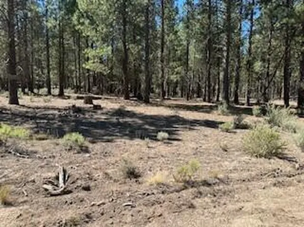 0 Gray Wolf Ln Lot 11, Sprague River, OR 97639
