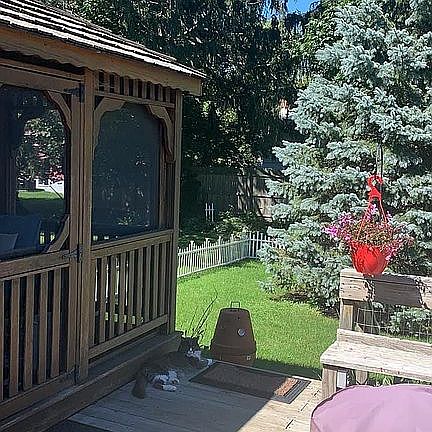 Left side deck with gazebo 