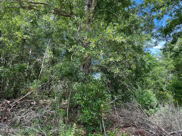 LOT 31 Sampras Blvd #31, Vancleave, MS 39565