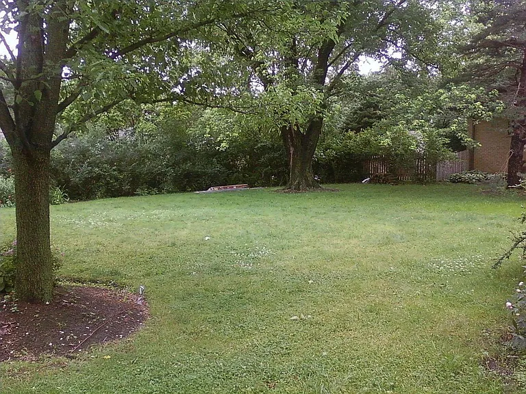 Large back yard, unfenced