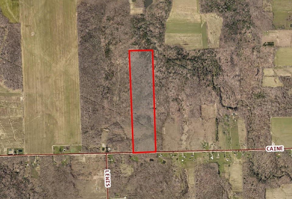 2nd image of Caine Rd