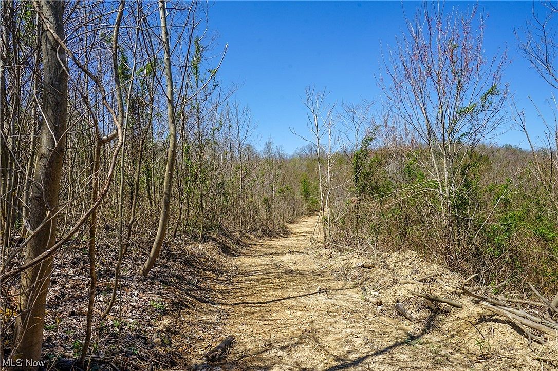 Thompsonville Rd, Wilkesville, OH 45695 Zillow