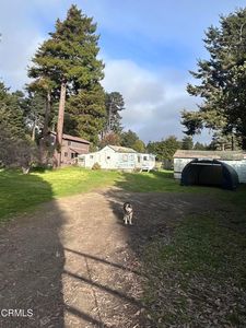 (Undisclosed Address), Fort Bragg, CA, 95437