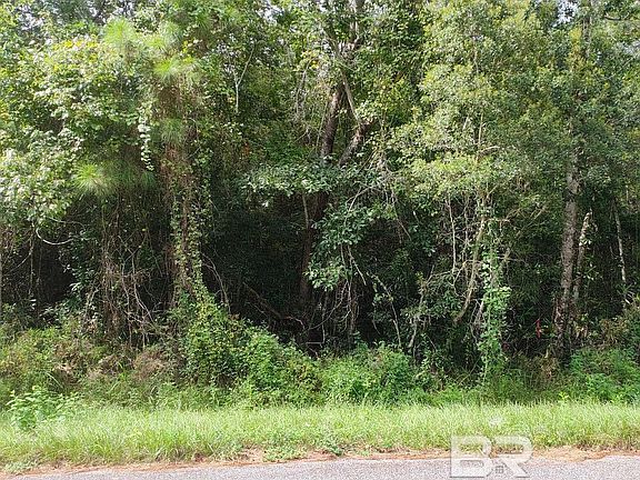 3rd image of 0 Boykin Blvd