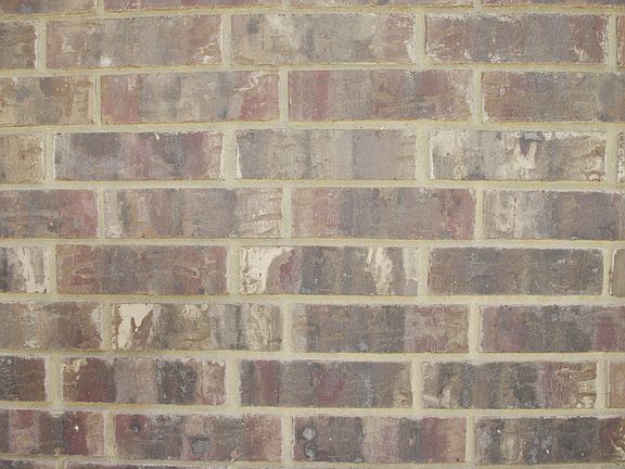 4th image of 8508 Grand Oaks Ln
