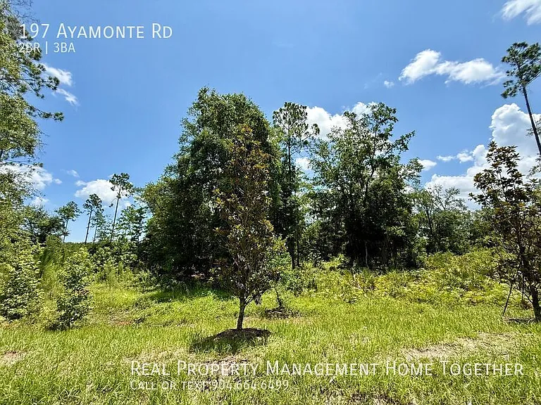 197 Ayamonte Rd — Photo 10