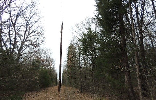 2nd image of County Rd #4455