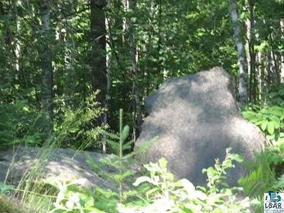 4th image of 55xx Irish Creek Rd Lot B