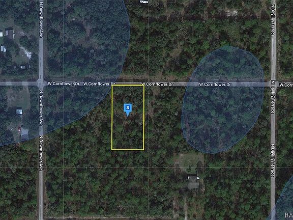 3rd image of 11734 W Cornflower Dr