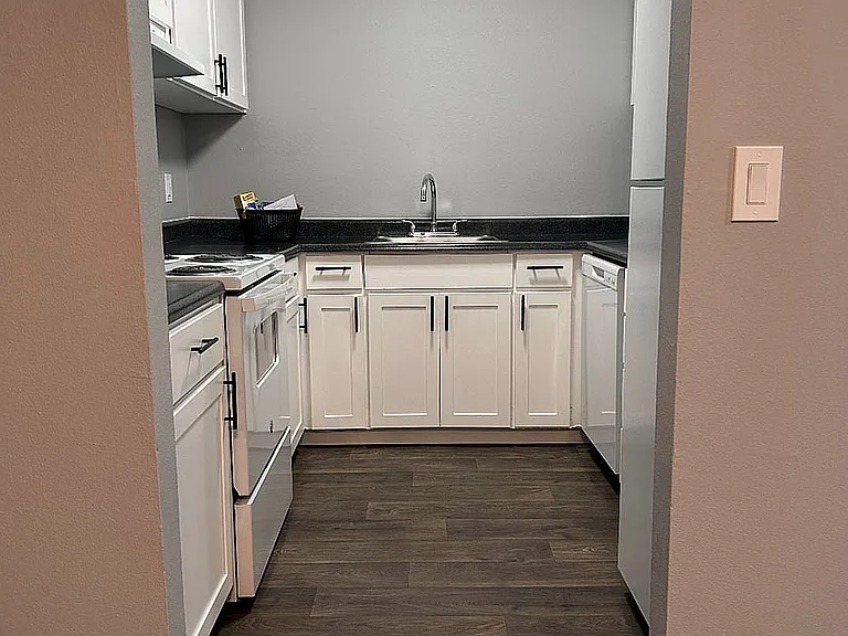 Renovated Kitchen