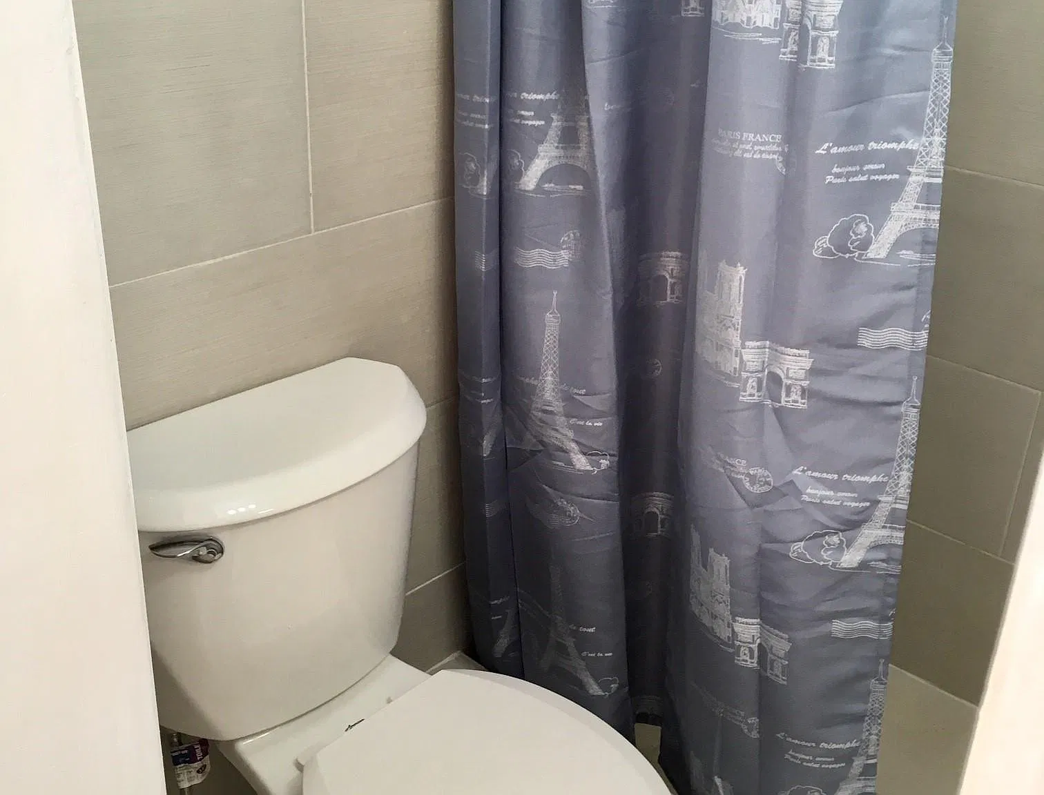 Studio, 350 sqft, $900 — Photo 3
