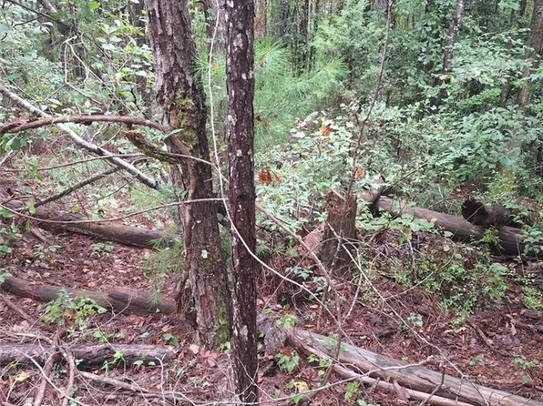 0 Woodsbluff Rd, Campbell, AL 36727