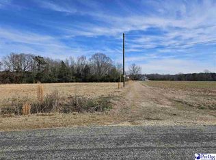 2438 Minturn Rd, Dillon, SC 29536