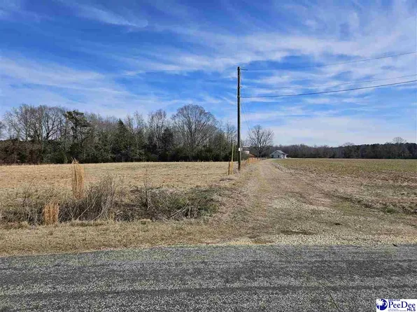 2438 Minturn Rd, Dillon, SC 29536