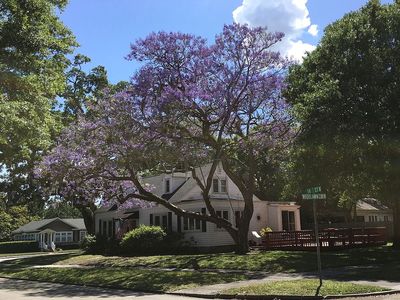 2200 14th St N, Saint Petersburg, FL, 33704