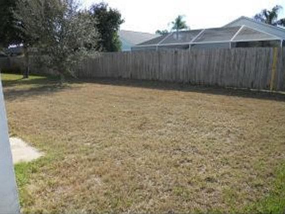 Back yard