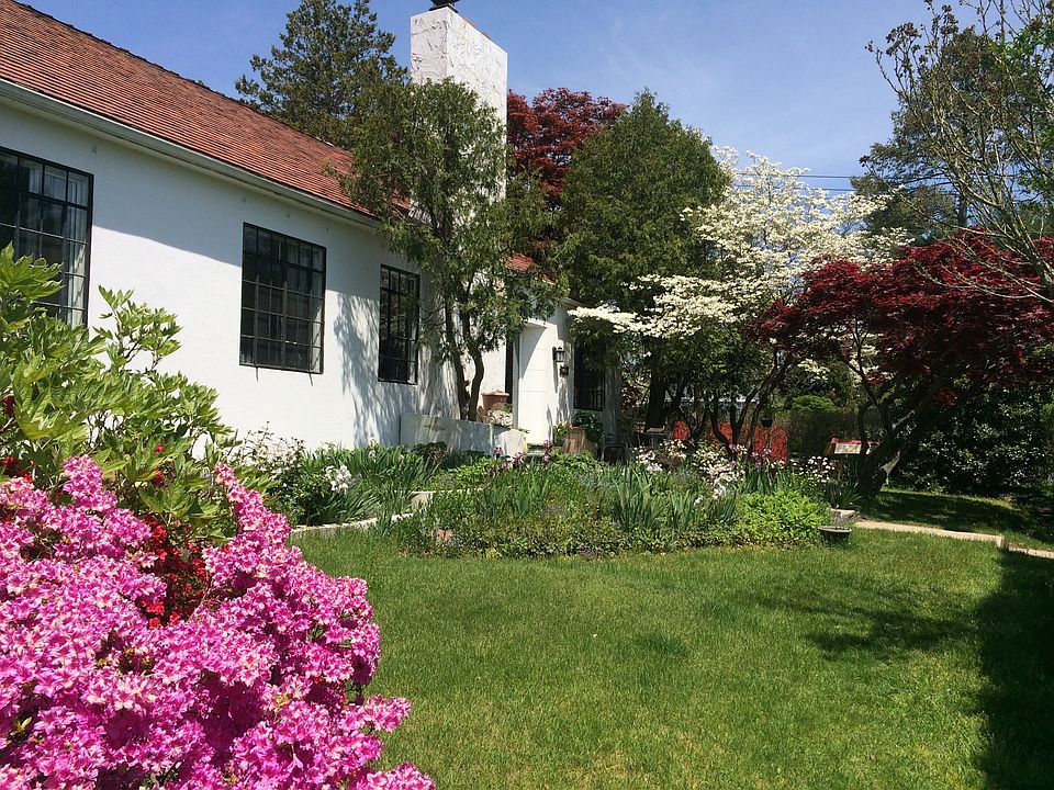 Front garden and entrance