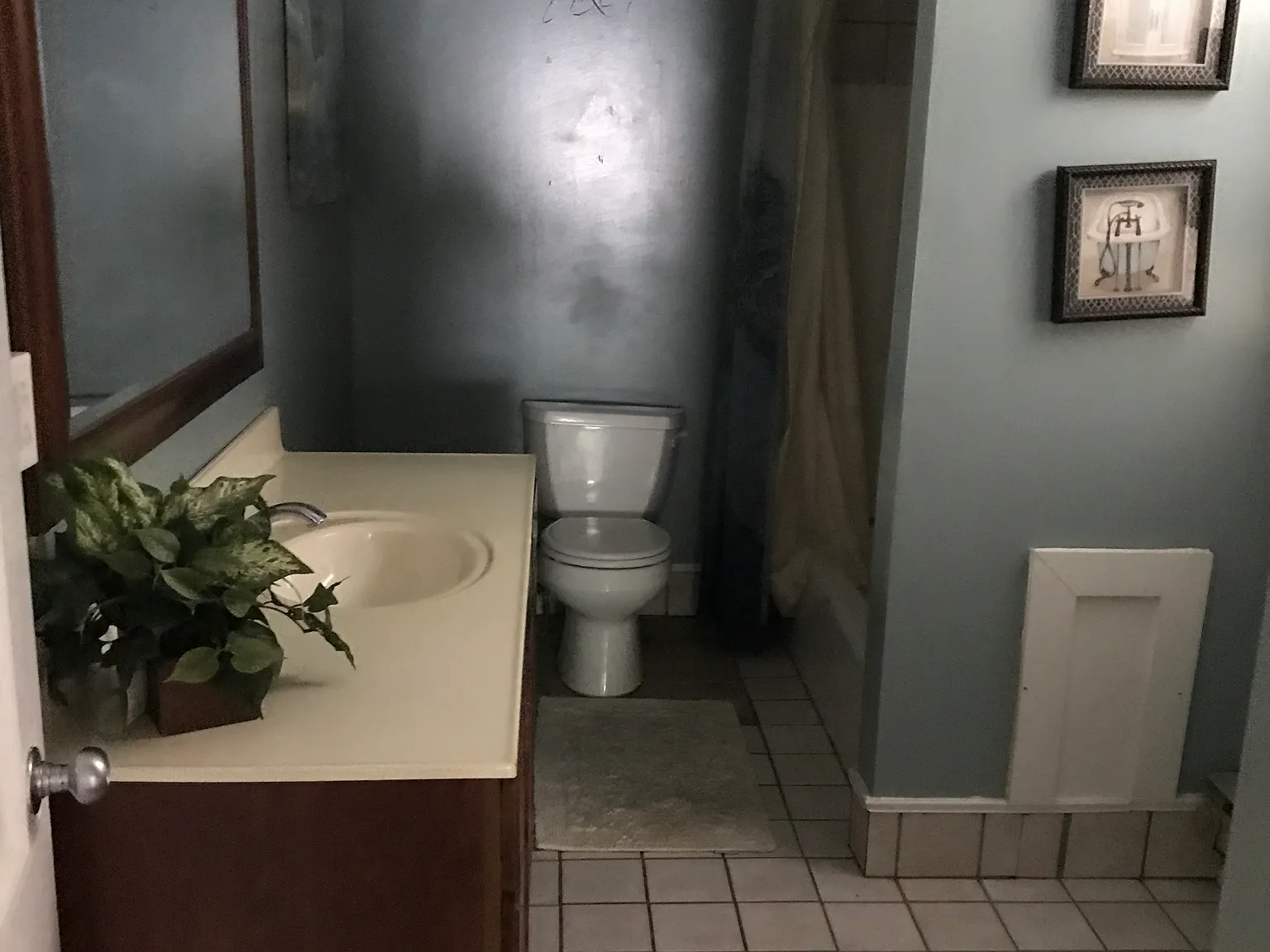 2 bed, 1000 sqft, $1,450 — Photo 1