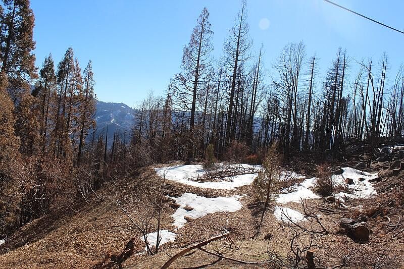 2nd image of 0 Redwood Drive