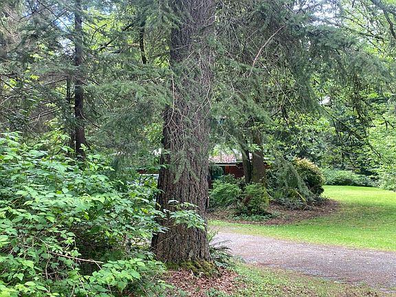 3rd image of 4913 109th Ave SE
