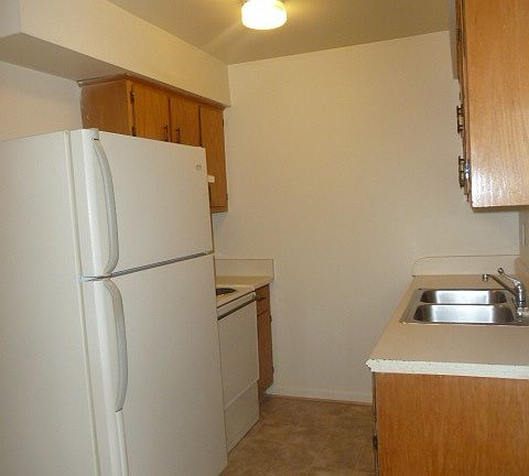 4th image of 7915 Orchid Ave APT 1