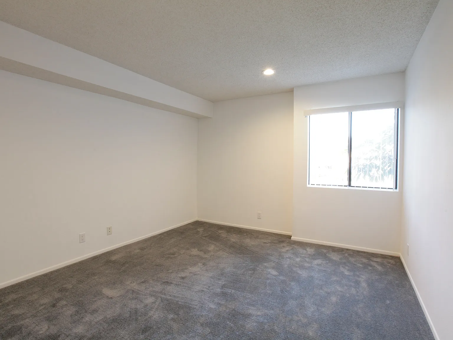 2 bed, $4,900 — Photo 4