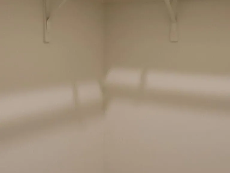 Secondary bedroom - walk-in closet