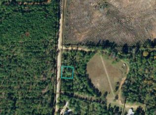 99 Night Shift Rd, Morris, GA 39867