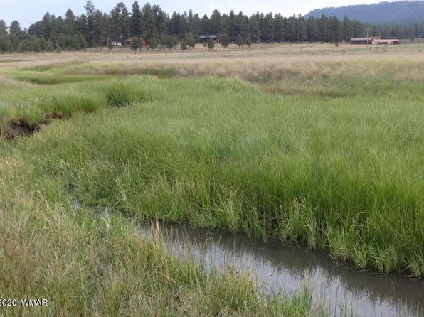LOT-22A The Rnch #AT, Alpine, AZ 85920