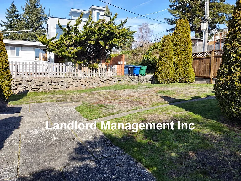 back yard