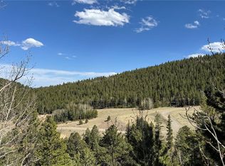 5 Pewabic Mine Rd #N002752, Central City, CO 80427