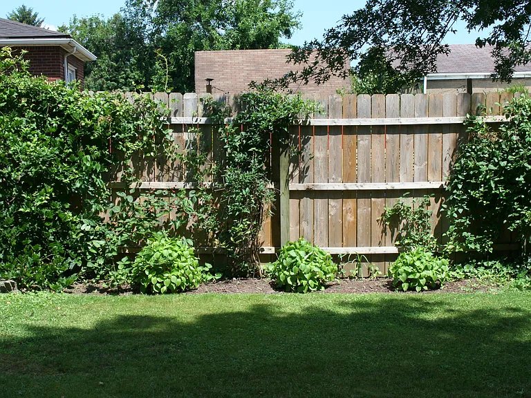 1212 Love St — Photo 3