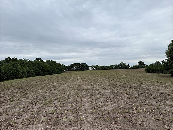 5th image of Cotton Rd