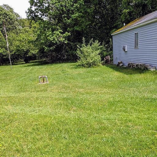 Backyard 100' x 360' partially wooded