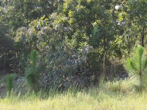 Callaway Dr, Graniteville, SC 29829