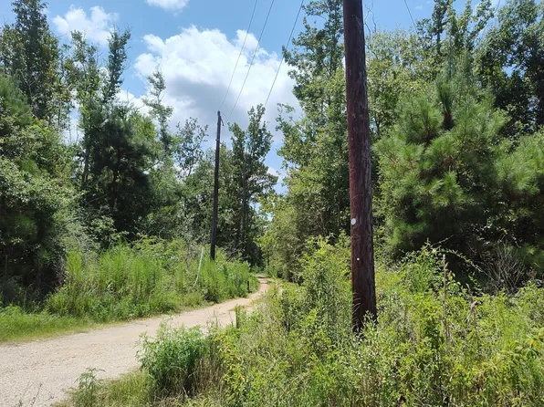 24036 Redbird Ln, Loranger, LA 70446