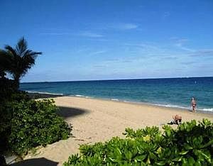 3rd image of 4250 Galt Ocean Dr APT 8L