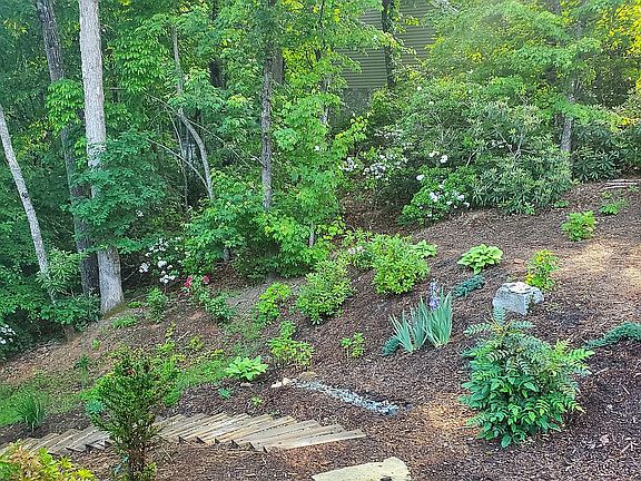 Side Yard