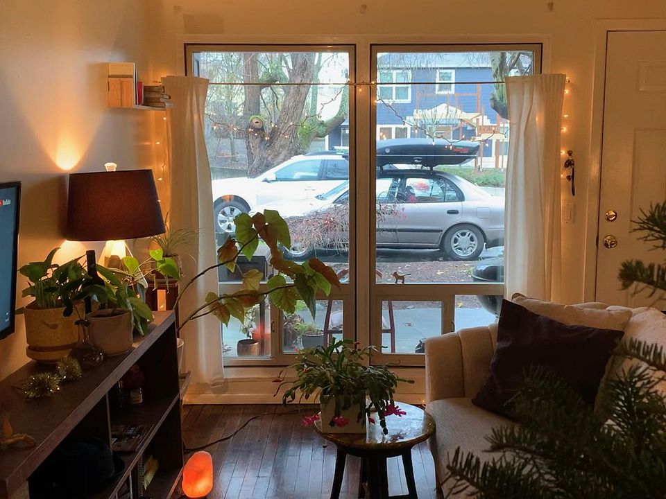 Standing in kitchen looking out front window and living room