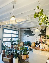 Rented by Pear NYC LLC