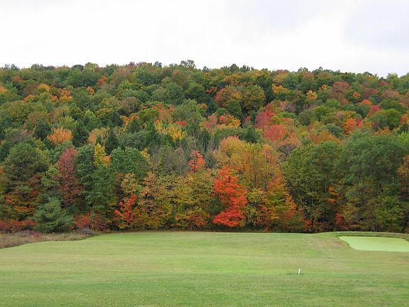 Autumn View from Back Deck