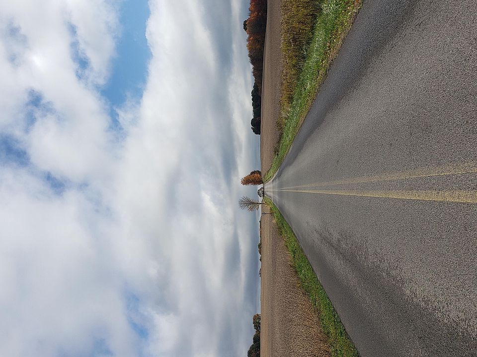 1st image of Palestine Rd
