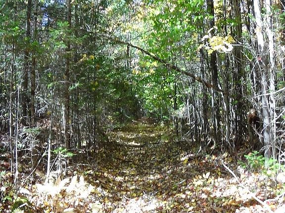2nd image of 0 Johnson Flat/taylor Aka Call Road
