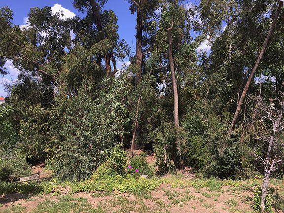 5th image of 1022 Deerhaven Dr