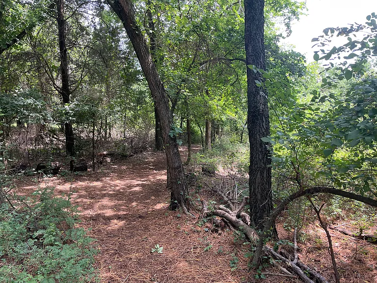 private walking trails (2)