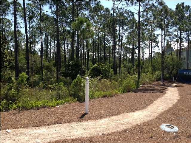 2nd image of 374 E Royal Fern Way
