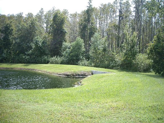 Private conservation and pond view out back 