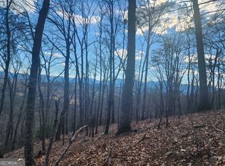 0 Trackrock Gap Rd, Blairsville, GA 30512