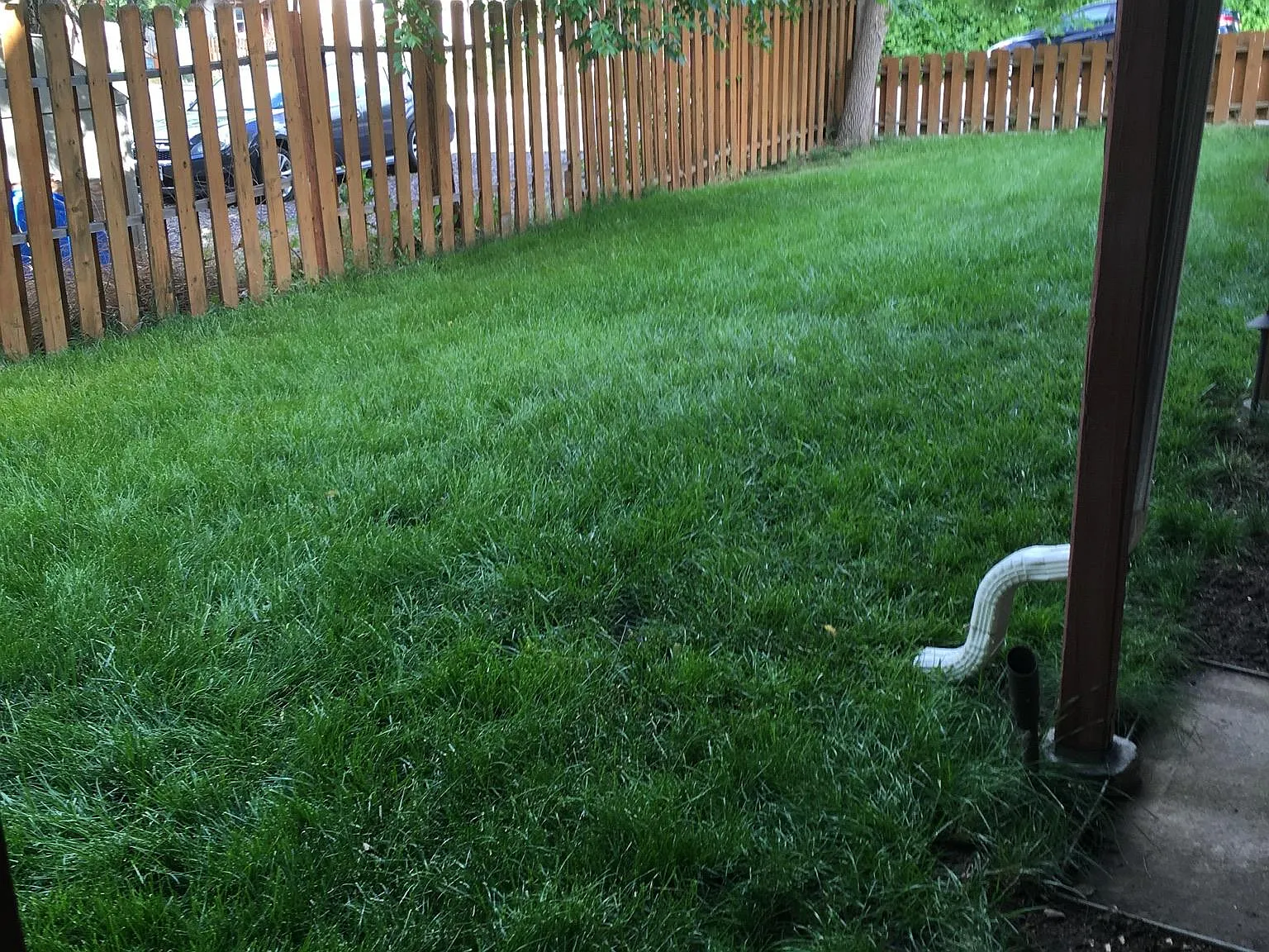 Arapahoe St, Golden — Photo 2