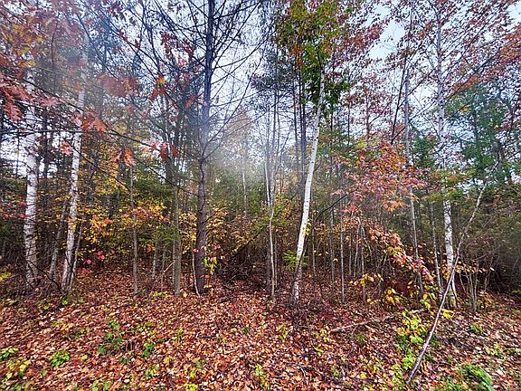 3rd image of L-292 293 Pineview Dr
